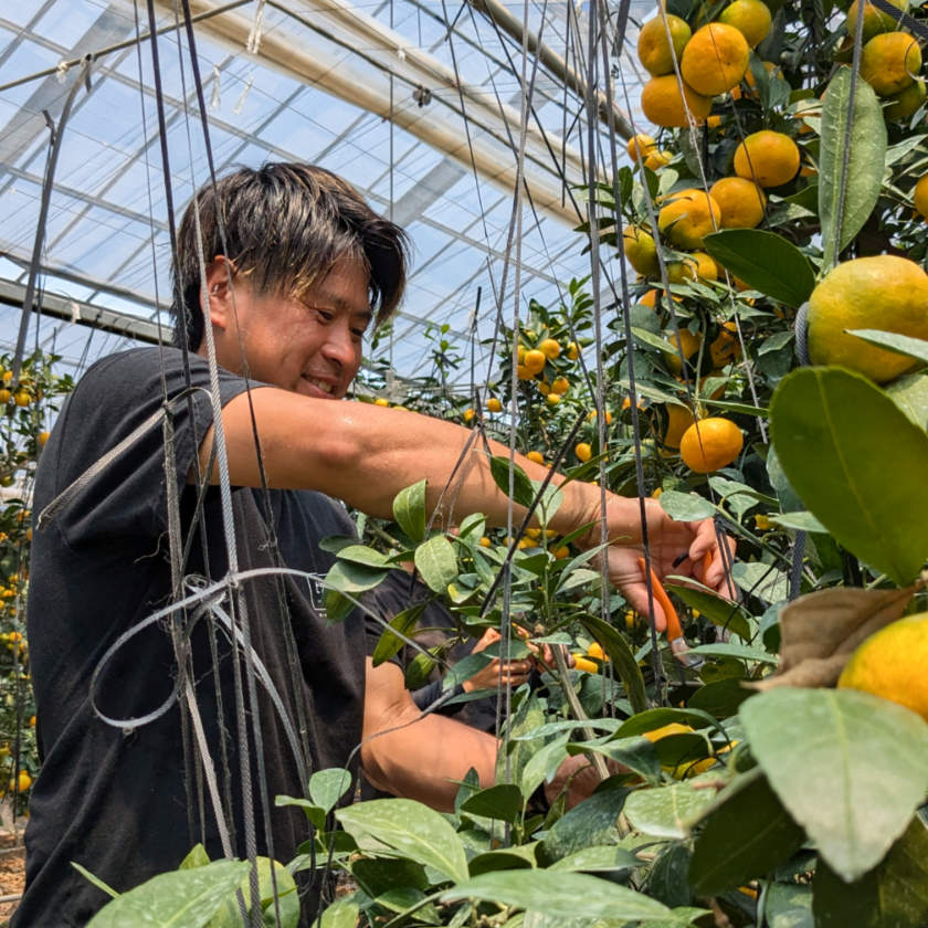 メインイメージ