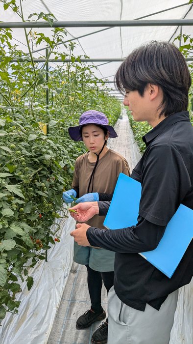 美べジ彩園冨髙さん