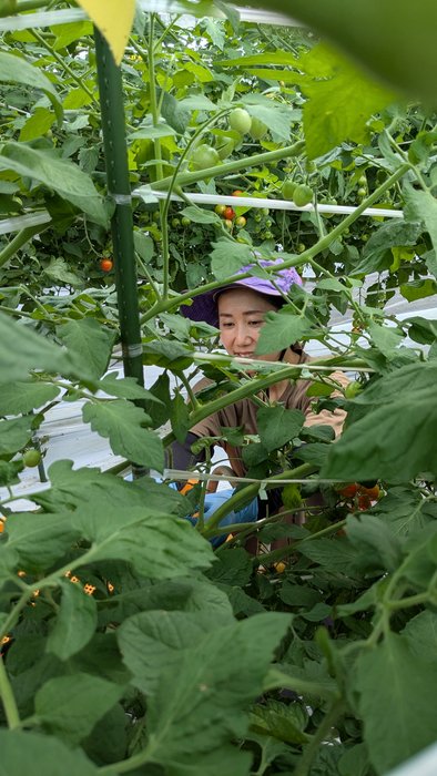 美べジ彩園冨髙さん