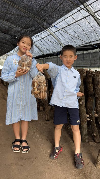 しいたけ江藤さん