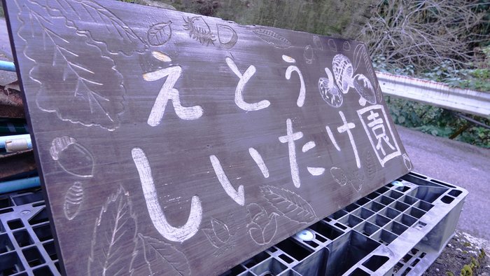 しいたけ江藤さん