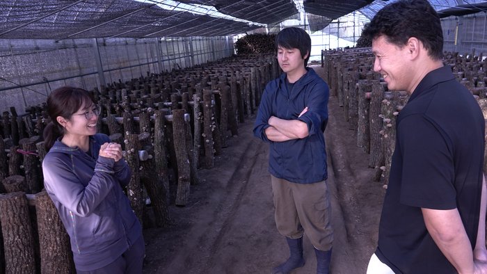 しいたけ江藤さん