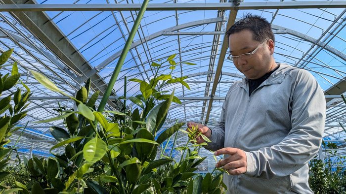 ハウスみかん榎さん