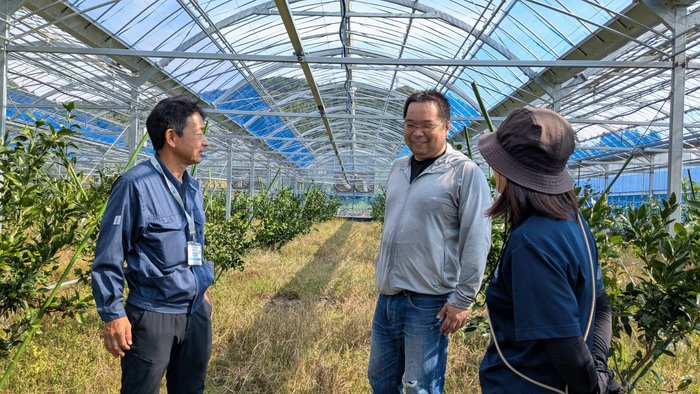 ハウスみかん榎さん