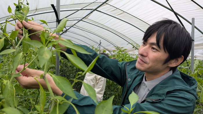 ピーマン佐藤さん