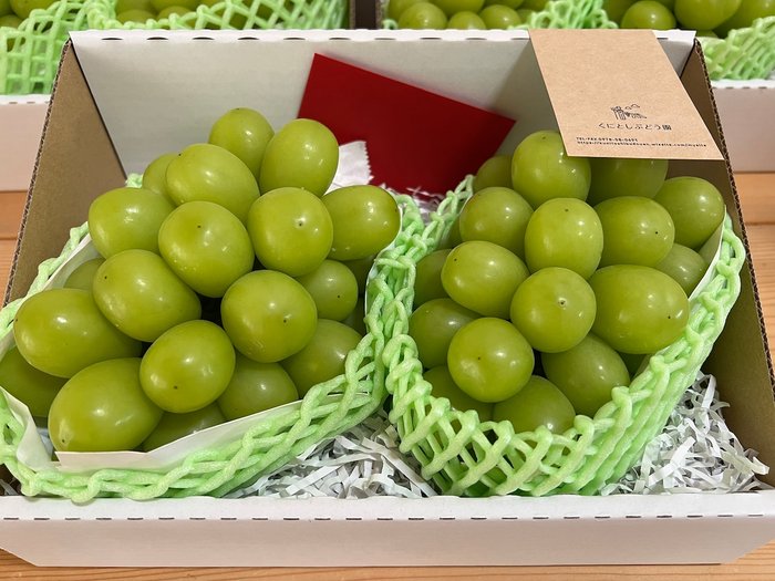 シャインマスカット國年さん