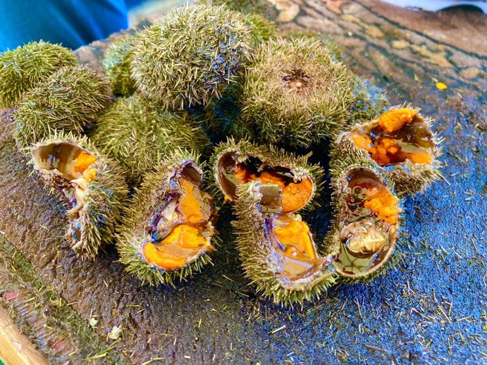 姫島漁師上岡さん